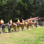Езда на коне в езиковия лагер ЛъкиКидс 2017 | LuckyKids