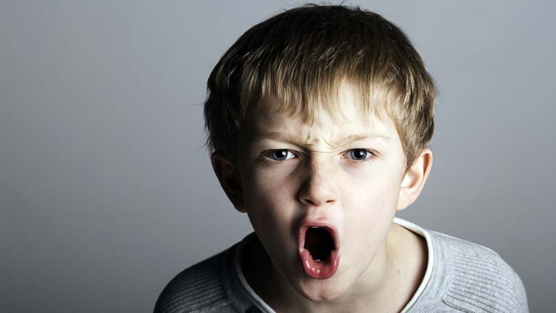 Problem behavior and aggression in children